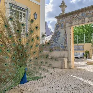 Solar Do Castelo - Heritage Collection - Alfama Lisboa